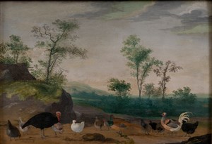 Image description is not available for DH.55-2